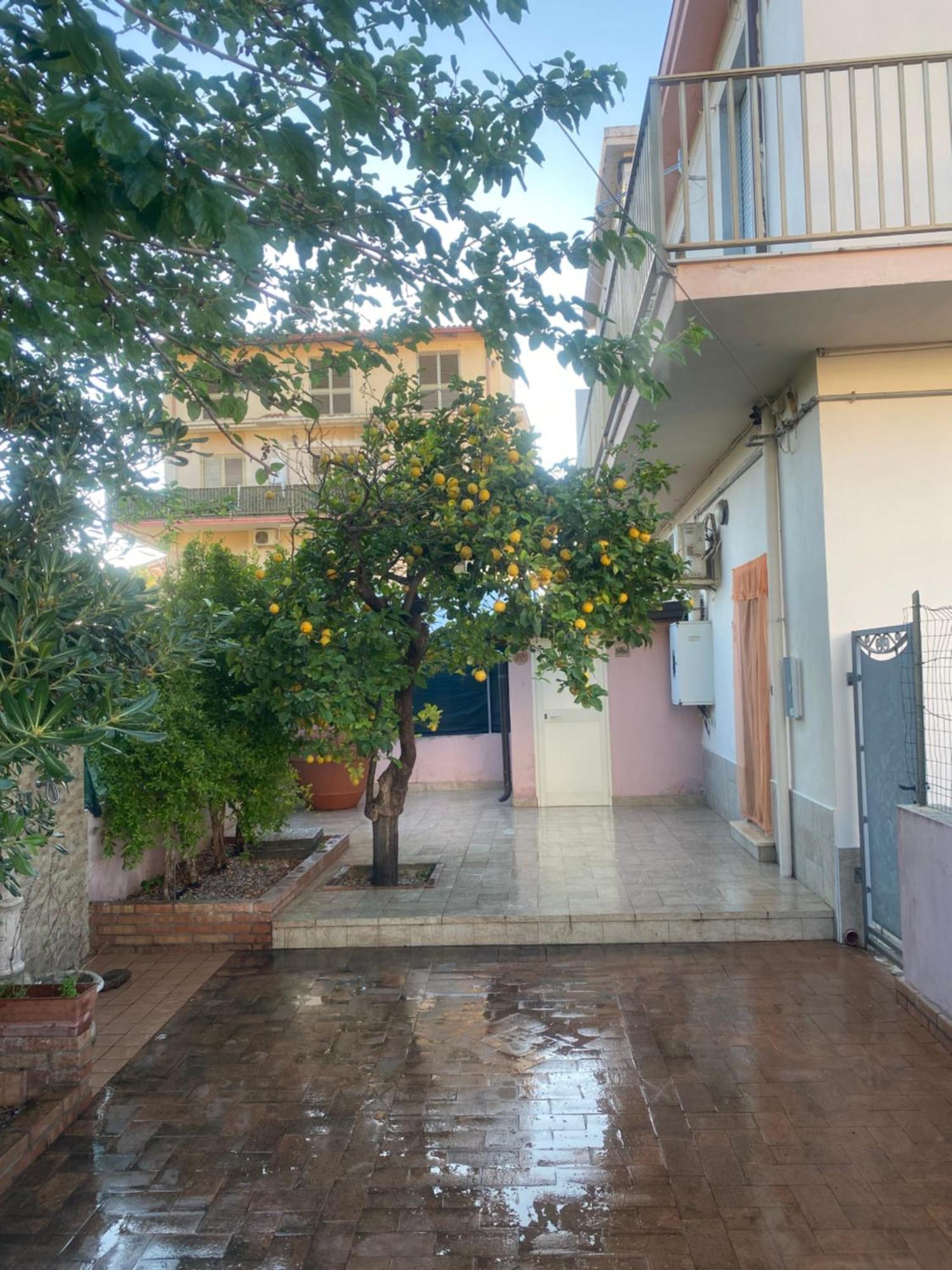 L'Albero Di Limoni Sul Mare Di Pizzo Villa Eksteriør billede